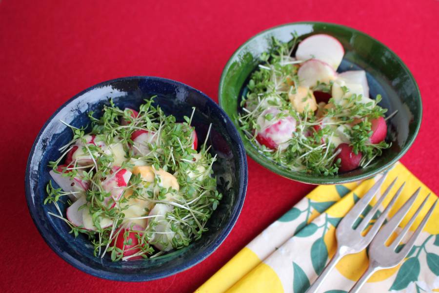 Zwei Schälchen mit Kressesalat